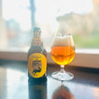 画像をギャラリービューア、一歩先の完全ノンアルビール〜雑味のない美味しさが大好評の「マルク・ラガー」にロードします